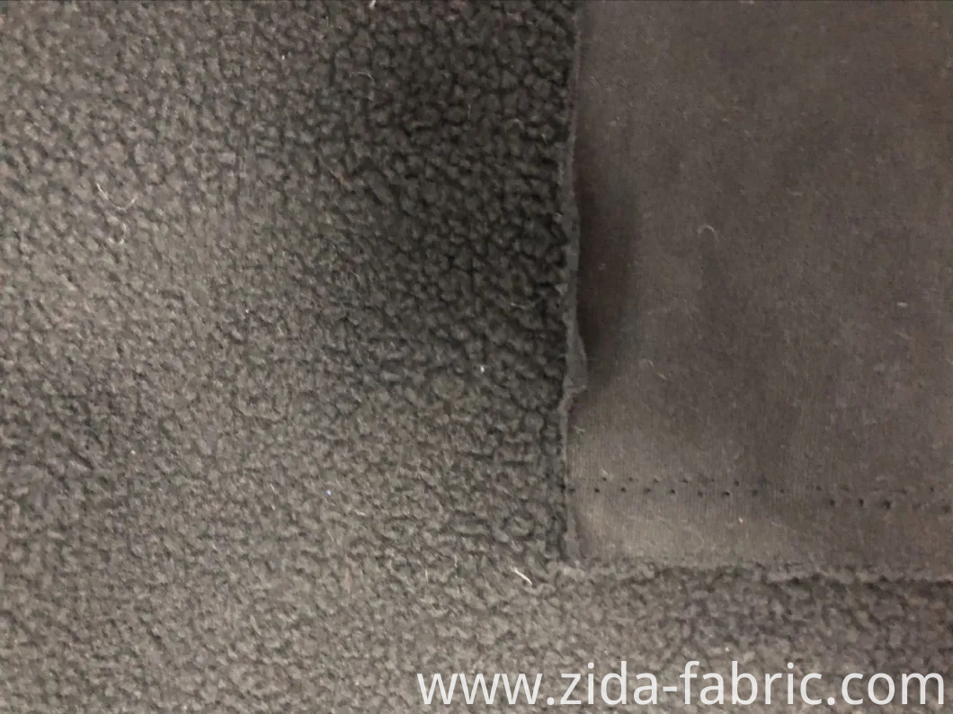 100%Polyester Single Side Lambswool (berber fleece) Knitted Fabric